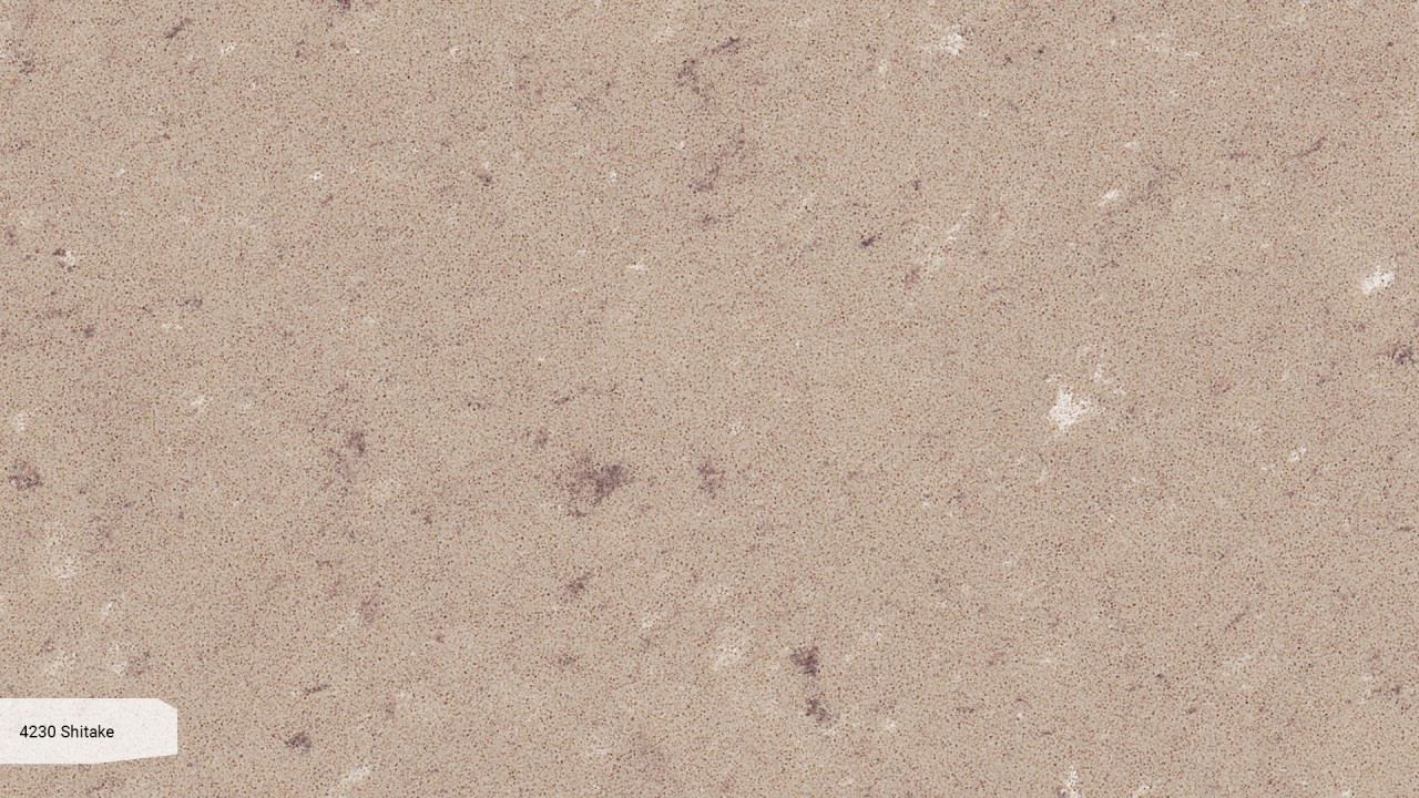Caesarstone Shitake